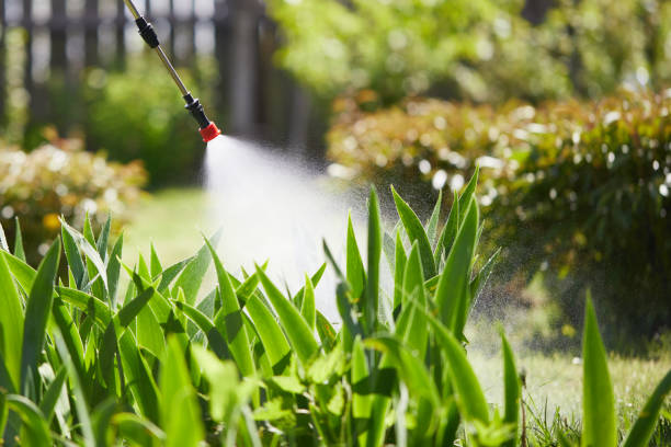 Tamper-Resistant Bait Stations for Rodents in Grantsville