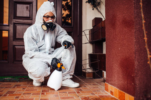 Attic and Crawl Space Rodent Treatment in Grantsville