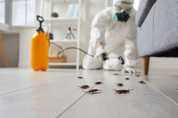 Commercial Rodent Management in Grantsville